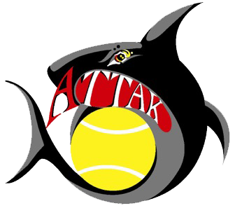 Attak Padel Academy